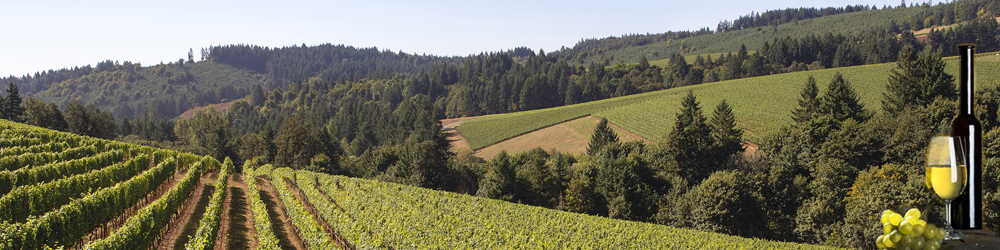 image of vineyards